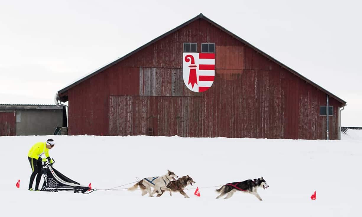 Kanton JuraAnzahl Selbstanzeigen 2016: 66 (57 im Jahr 2015)Steuereinnahmen 2016: 1,1 Millionen Franken (2015: 800'000 Franken)