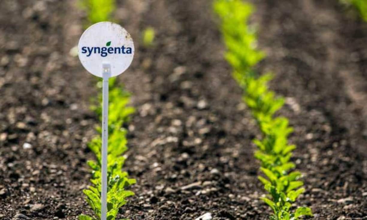 9. Syngenata: 3,5 Prozent