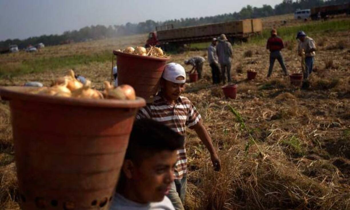 Clinton will die US-Einwanderungspolitik umfassend reformieren. Einwanderer sollen einfacher an die US-Staatsbürgerschaft gelangen. Sie erhofft sich dadurch viele Stimmen von den Latinos – Clintons Haltung gegenüber Einwanderern stösst bei diesen Wählern auf viel Zustimmung.