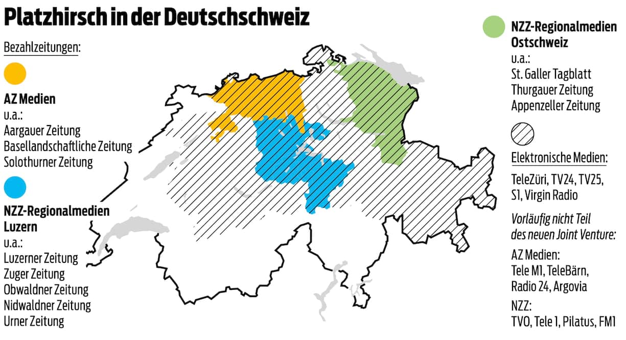 Platzhirsch in der Deutschweiz