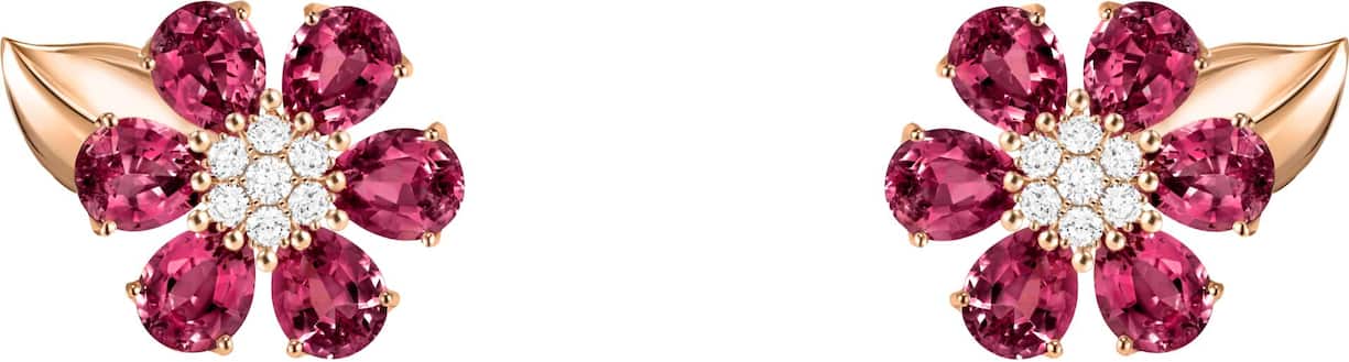 <p>Ohrringe der Kollektion «Fleurs d’Hawaï» in Roségold mit Diamanten und Rhodolith. 25’100 Franken.</p>