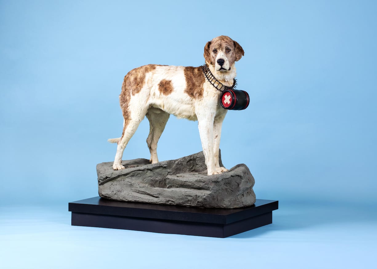 <p>Der berühmteste Rettungshund der Welt, Barry, steht heute in Bern.</p>