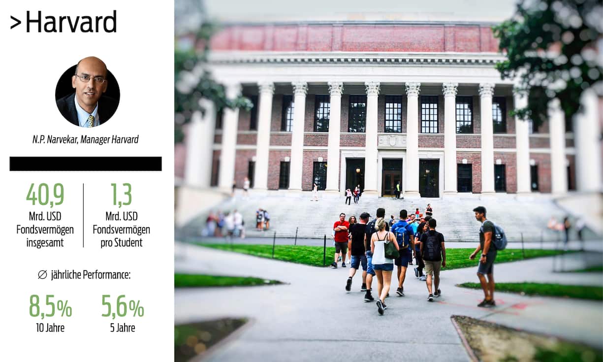 Harvard Zahlen