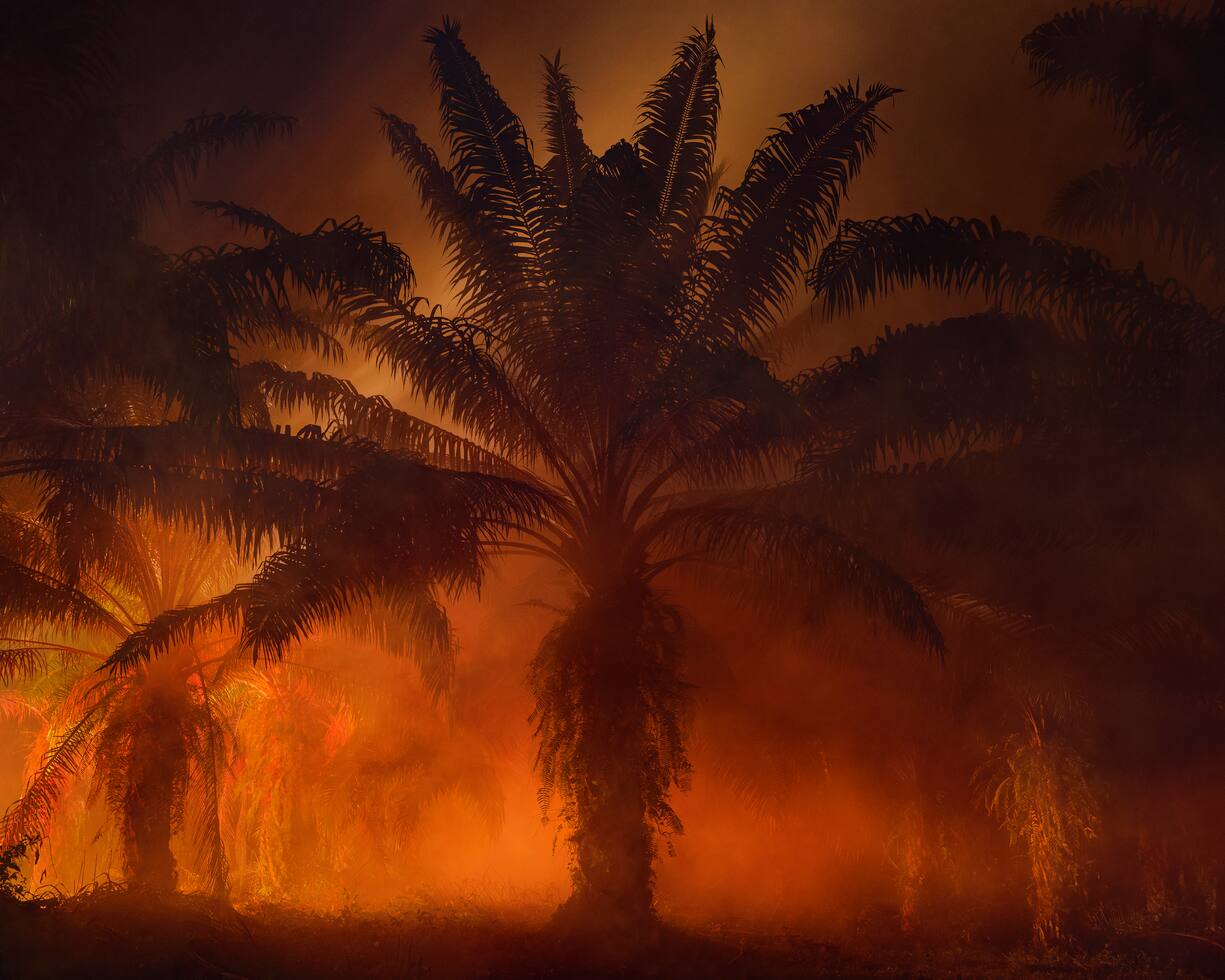 Julian Charrière: «An Invitation to Disappear – Nagan Raya», 2018. Archiv-Pigmentdruck auf Hahnemühlepapier, 150×187,5 cm, 22 000 Euro.