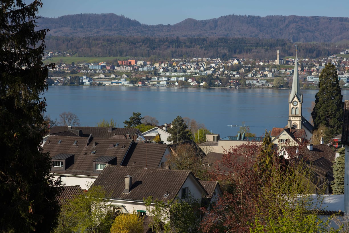 Blick auf den Zürichsee