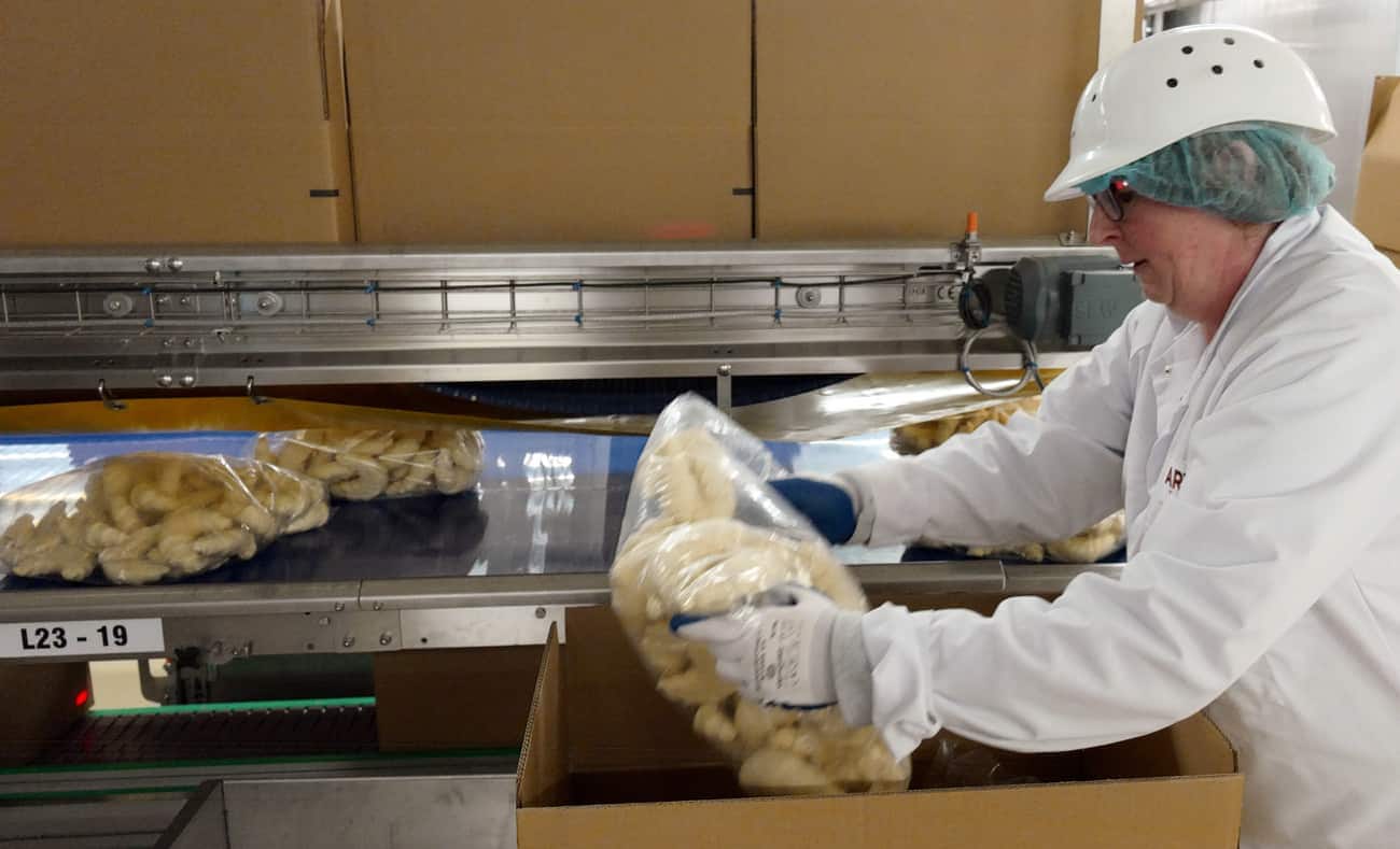 An employee of Aryzta Bakeries Deutschland GmbH  packs pre-baked croissants in Eisleben, Germany, 12 December 2016. The Eisleben site is the largest site and the German headquarters of the Swiss company. Around 1,800 people are employed by the company that produced frozen baked goods for the retail sector. Photo: Peter Endig/dpa-Zentralbild/ZB | usage worldwide (KEYSTONE/DPA/Peter Endig)
