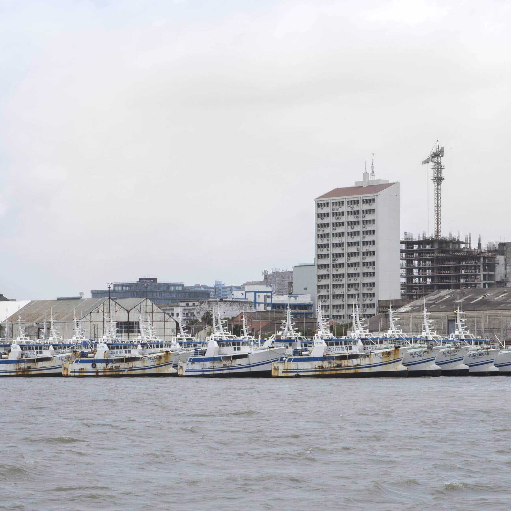 CS-Milliardenkredit für Fisch­fangflotte: Die Schiffe verrosten heute im Hafen von Maputo.