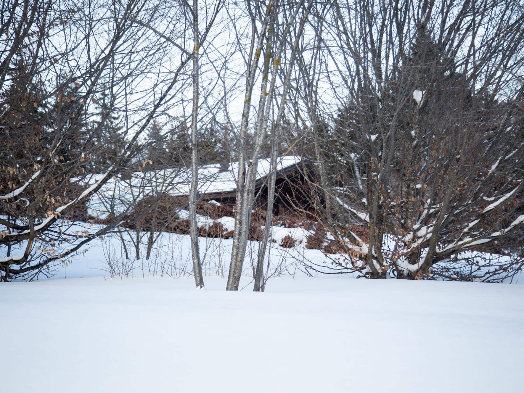 Chalet Bertarelli ( durch die BÃ¤ume zu viel schnee und zu geschÃ¼tzt)