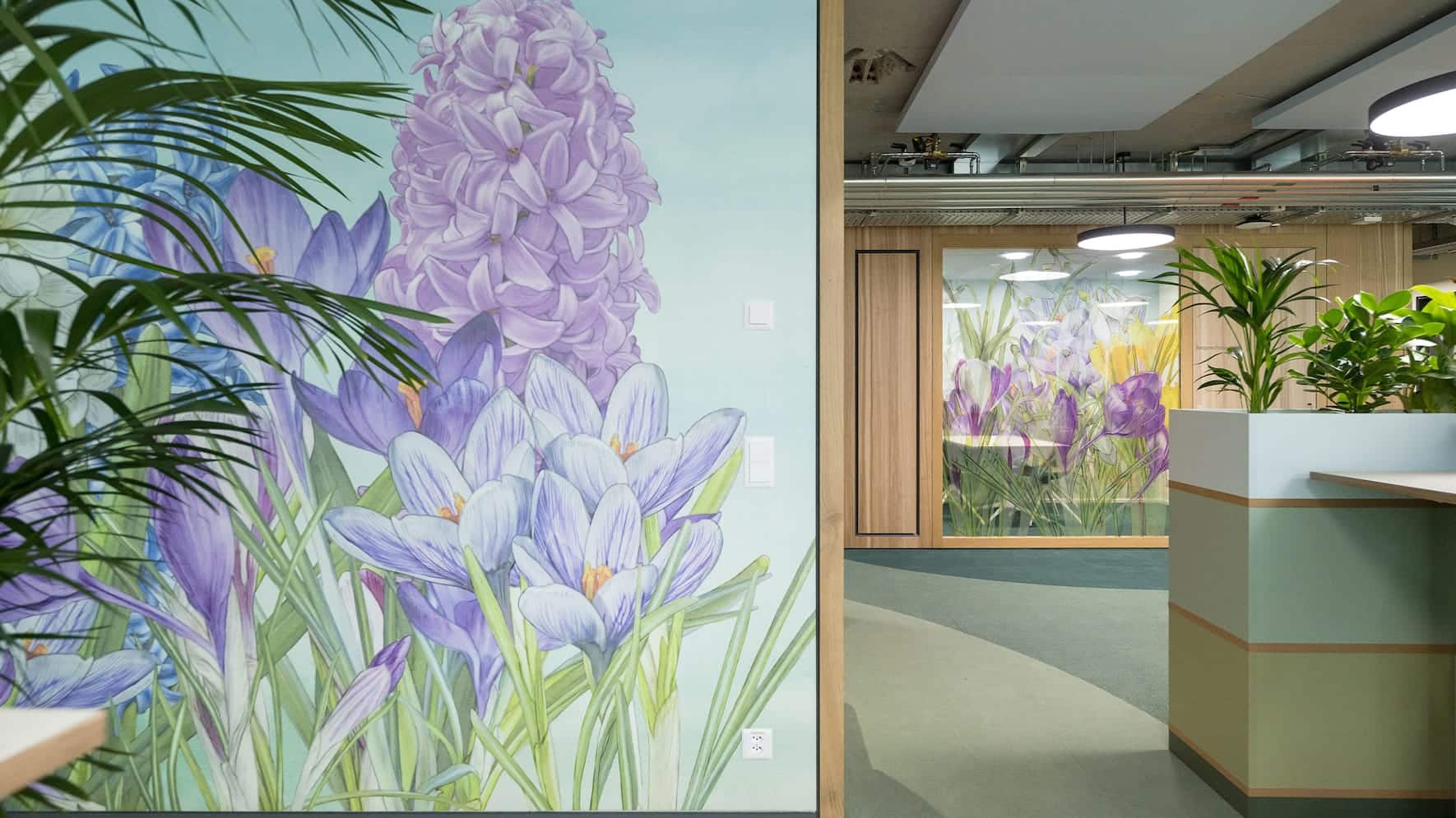 Aroma Architecture Kantonsspital Uri Illustrationen