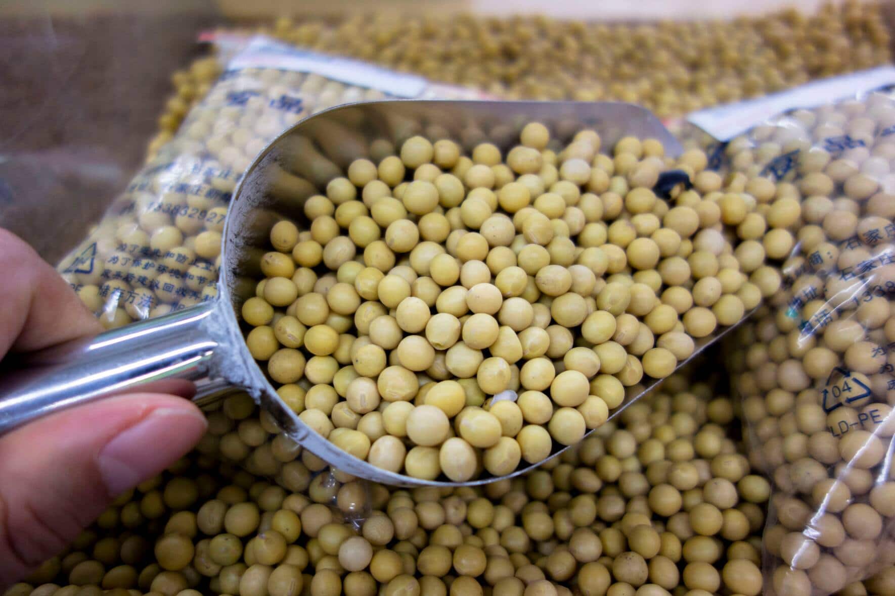 Sojabohnen in einem chinesischen Supermarkt.