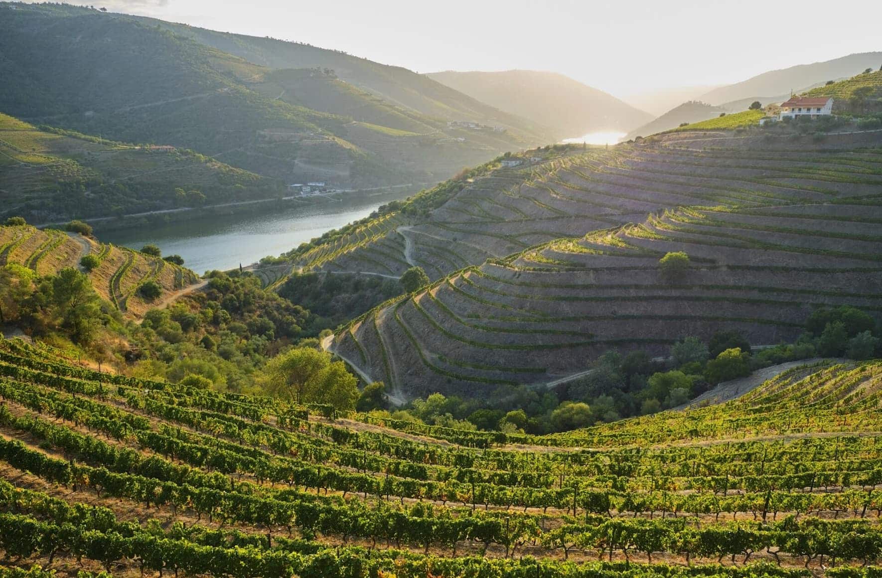 In dieser spektakulären Landschaft wachsen die Trauben für Portwein. Das Douro-Tal im Norden Portugals ist eines der ältesten, kontrollierten Herkunftsgebiete der Welt.