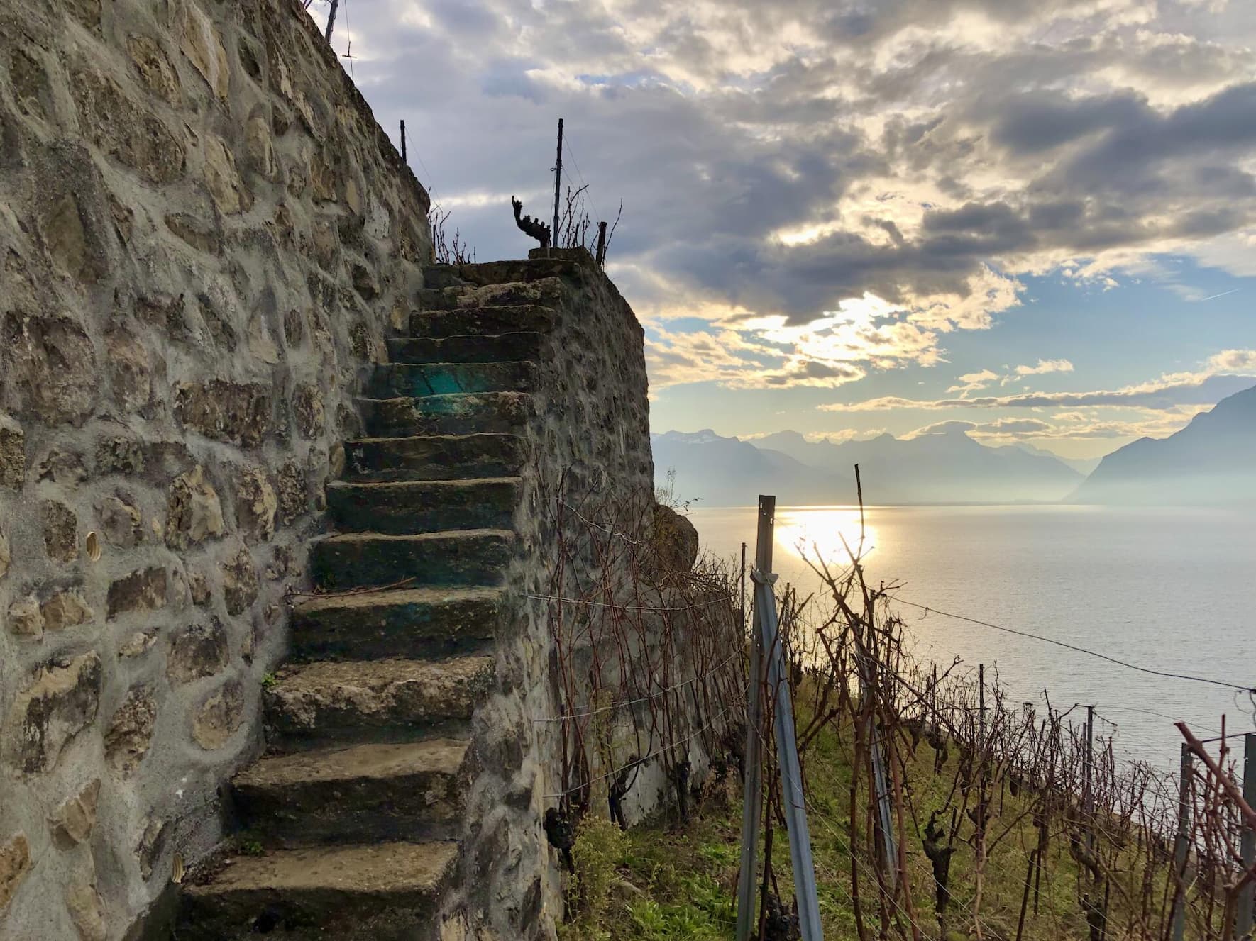 Ein Quadratmeter einer solchen Rebmauer kommt schnell auf gegen 1500 Franken zu stehen, wenn sie von einem Profi gebaut wird.