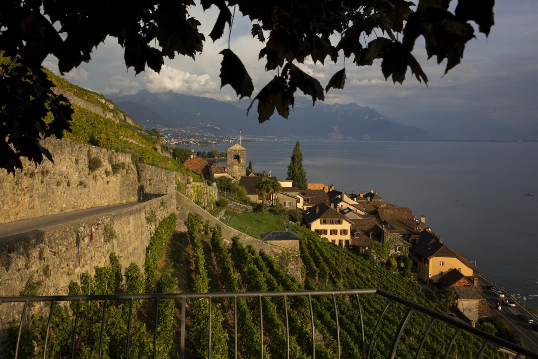 Weinbau wäre ohne die Stützmauern an diesen Steillagen nicht möglich, aber der Unterhalt kostet viel Arbeit und Geld.