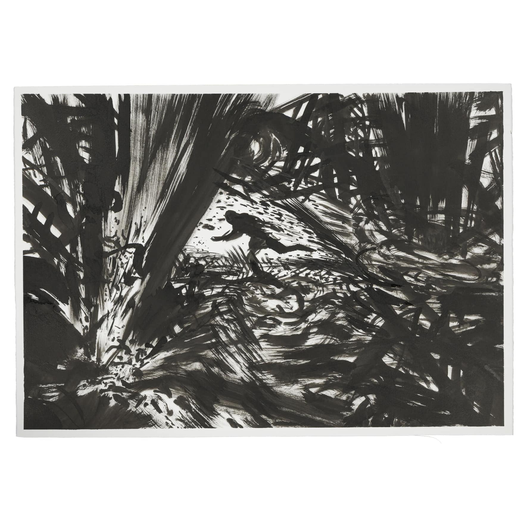 Lorenzo Mattotti_FestivaldeDessin.jpg