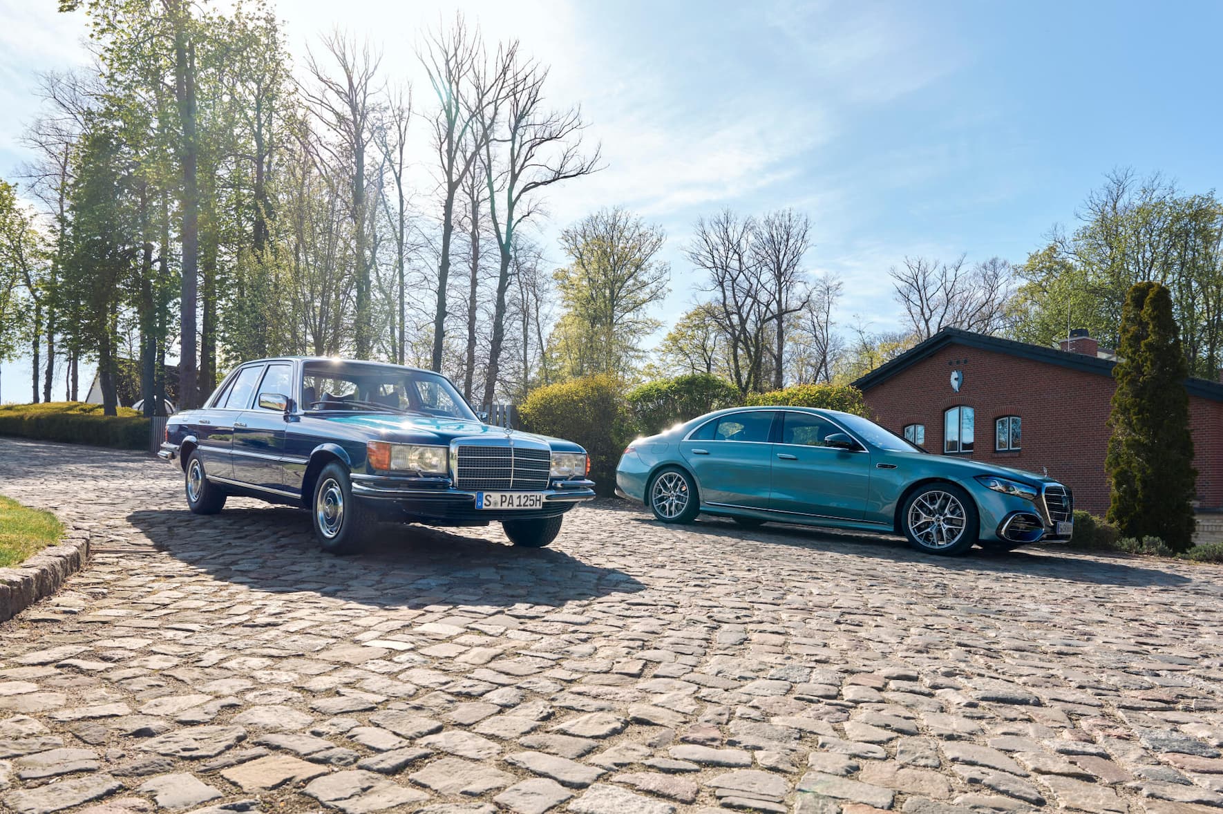 Luxe_Mercedes3_Fels_004.jpg
