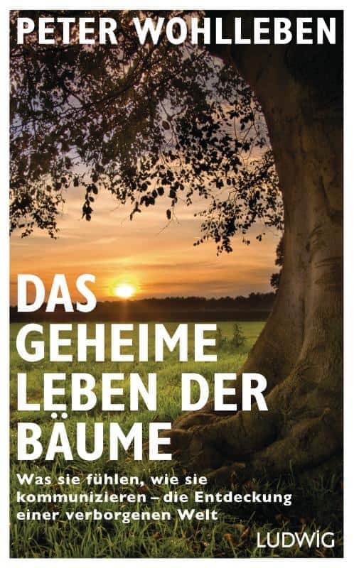 «Das geheime Leben der Bäume», Peter Wohlleben, Ludwig Verlag 2015, 223 Seiten