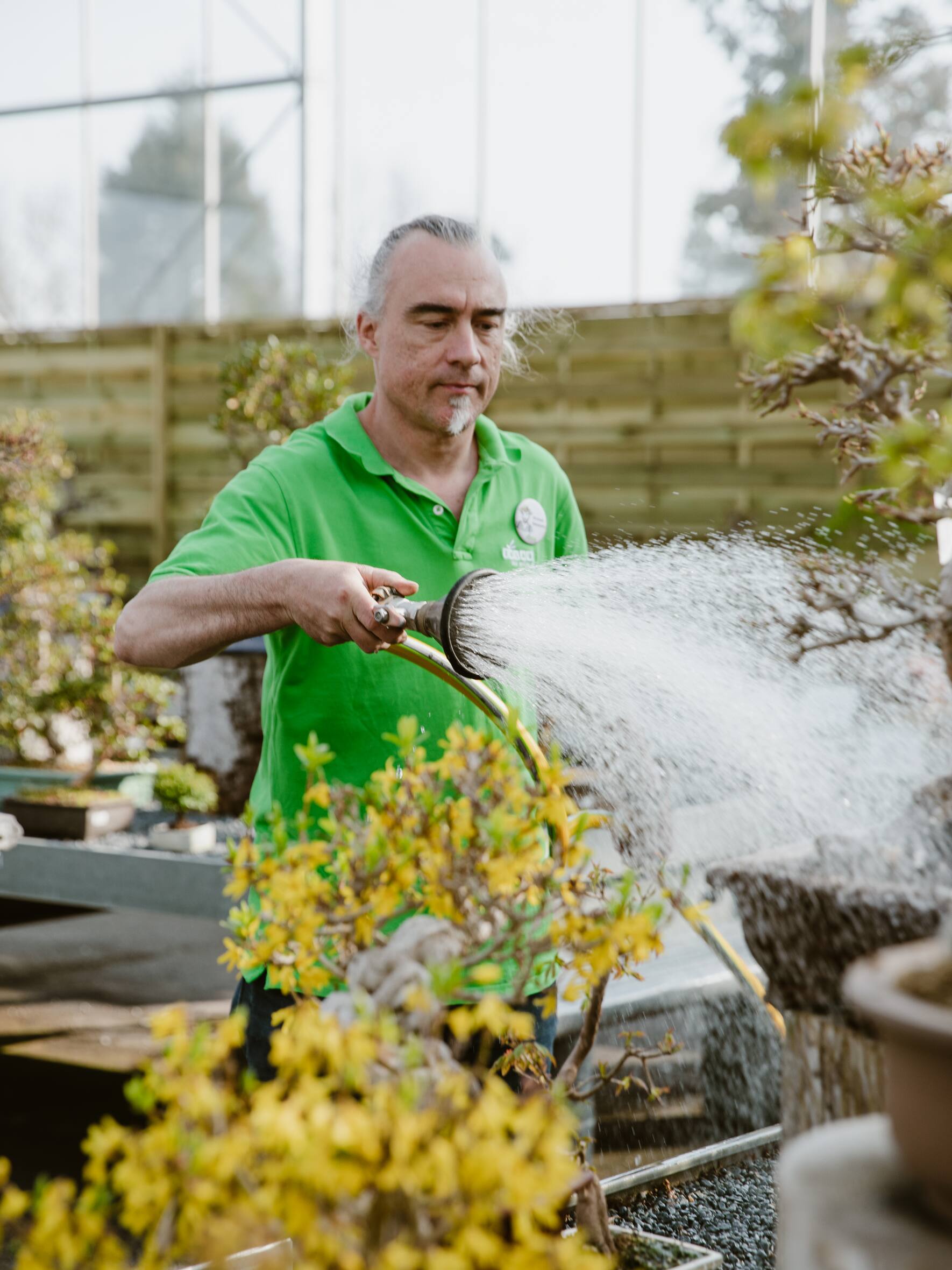BONSAI & Porrtrait von Johannes Zulauf