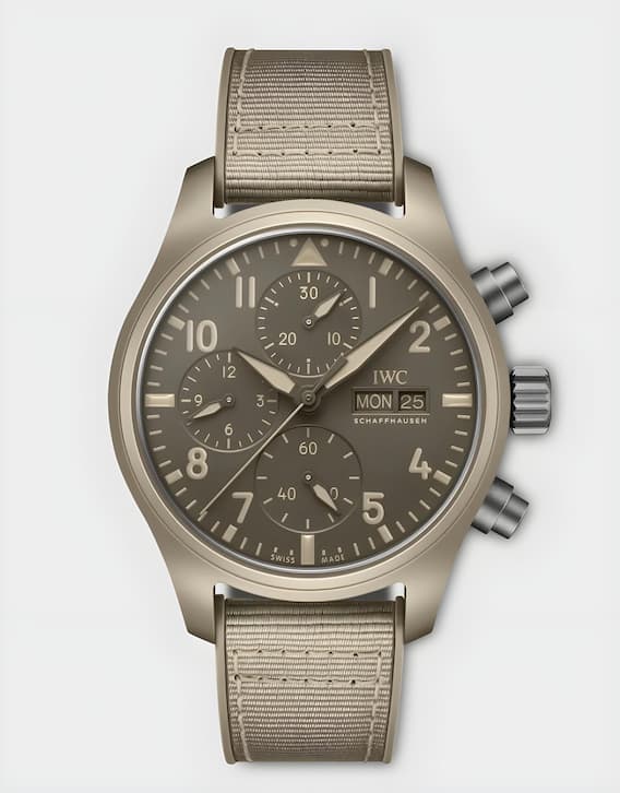 IWC.jpg