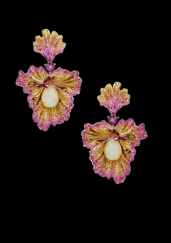 Ohrschmuck aus der Red-Carpet-Kollektion in Form von Blütenknospen: Weisse Opale und farbige Saphire sind in ­buntem Titan gefasst.