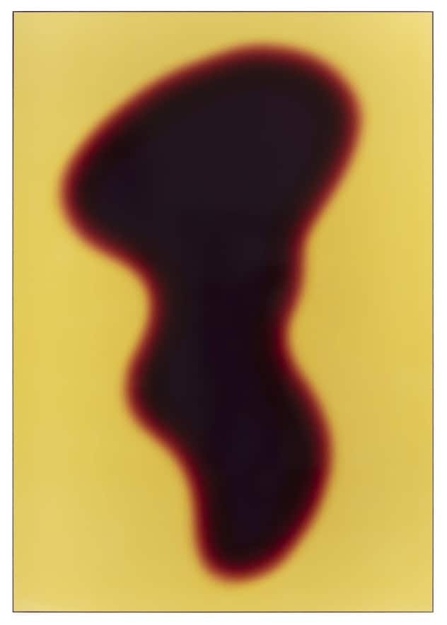 «Seele 1» (2021), Luminogramme auf Kodak-Endura-Fotopapier, 176 × 123 cm.