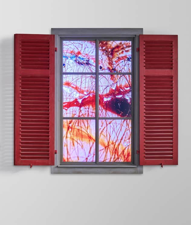 Delirisch_Pipilotti_Rist
