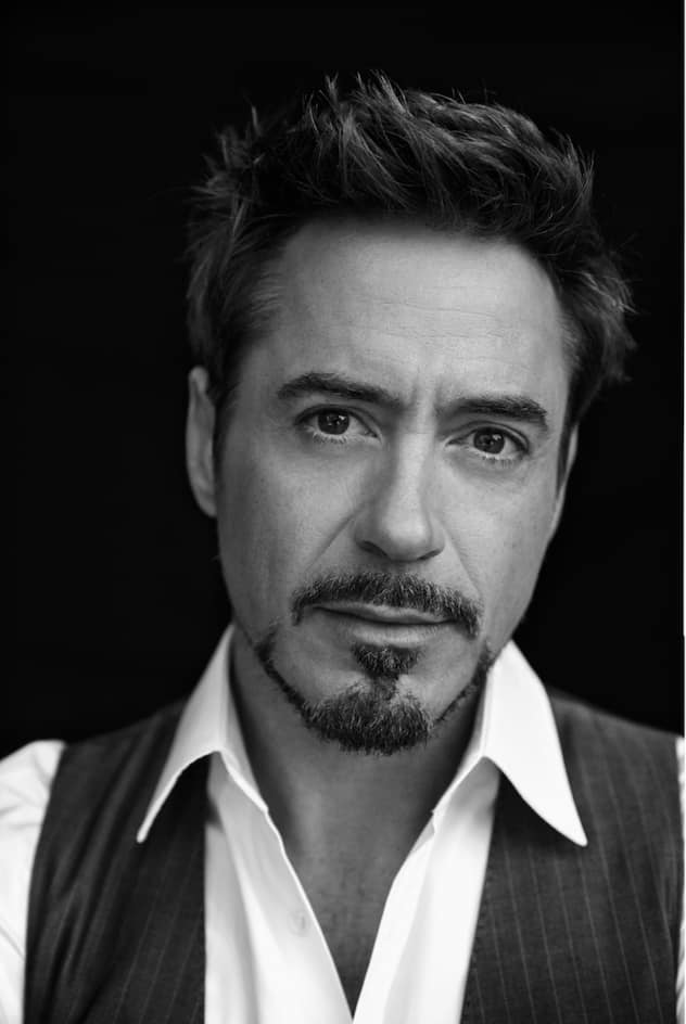 Portrait von Robert Downey Jr.
