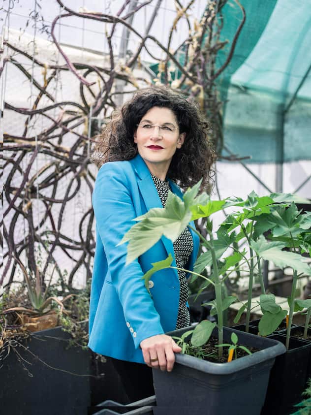 Tina Müller Weleda