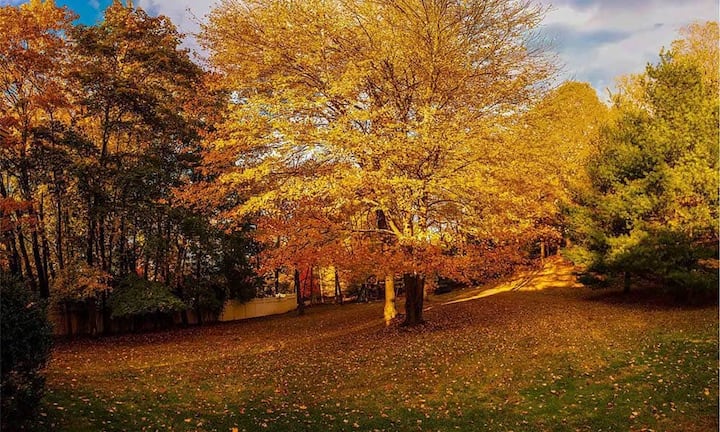 Aber auch wenn die Tage kürzer und kälter werden: Kein Grund für die Clintons sich nur innen aufzuhalten.