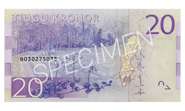Auf den Hinterseiten der Banknoten sind schwedische Regionen porträtiert, die mit den Menschen auf der Vorderseite zusammenhängen. Bei Astrid Lindgren ist es Småland, wo sie aufgewachsen ist und wo viele ihrer Figuren beheimatet sind.