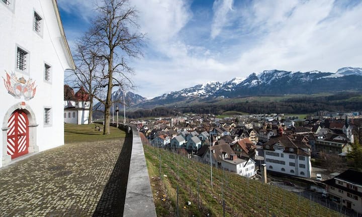 Kanton ObwaldenAnzahl Selbstanzeigen 2016: 77 (40 im Jahr 2015)Steuereinnahmen 2016: 300'000 Franken (2015: 700'000 Franken)