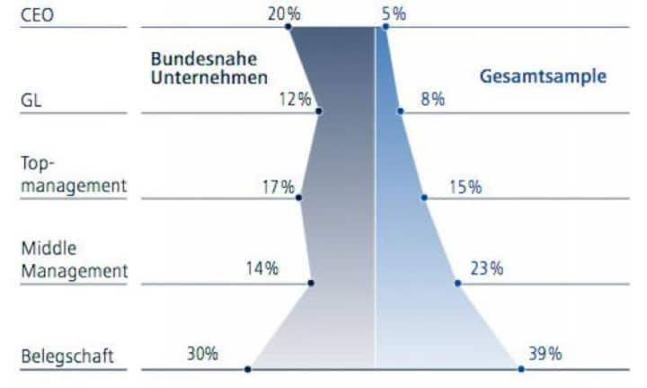 Besondere Unternehmen im Überblick: Alle fünf grossen bundesnahen Unternehmen haben an der Erhebung teilgenommen. Es zeigt sich, dass vor allem das mittlere Management zum Durchschnitt abfällt. Da eine der Firmen von einer Frau geführt wird – die Schweizerische Post von Susanne Ruoff - ergibt sich ein hoher weiblicher Anteil auf der CEO-Ebene.