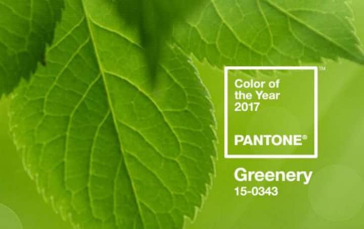 pantone1.jpg