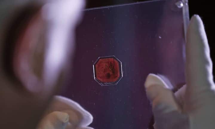 Nach einem Bieterwettstreit beim New Yorker Sotheby's-Auktionshaus geht die «British Guiana» für 9,5 Millionen Dollar (etwa 8,5 Mio. Franken) an einen per Telefon mitsteigernden anonymen Interessenten - und ist damit die teuerste Briefmarke der Welt.