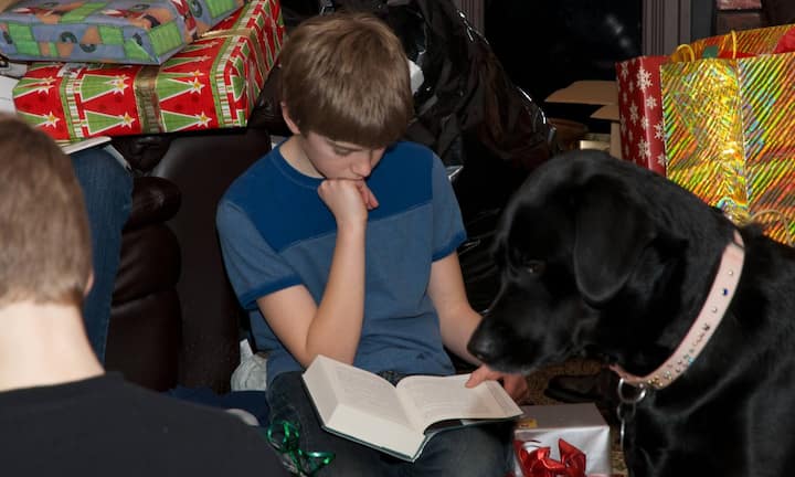 1. Rang: Bücher und E-Books - Lesen kommt wenigstens zu Weihnachten nicht aus der Mode. 52 Prozent wollen auch dieses Jahr Bücher oder E-Books kaufen, wobei erste deutlich beliebter sind (49 Prozent).