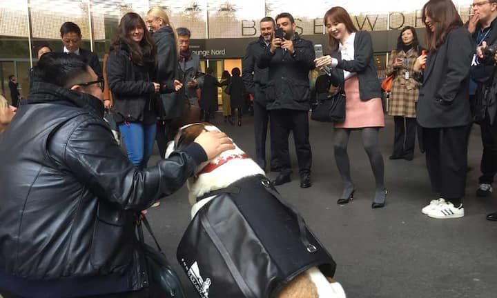Auch ausländische Besucher kommen voll auf ihre Kosten und können sich mit einem Bernhardiner ablichten lassen.