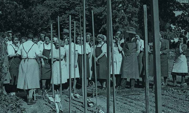 1939 Anbauschlacht: Während des Zweiten Weltkriegs besetzten Frauen viele Männerberufe.