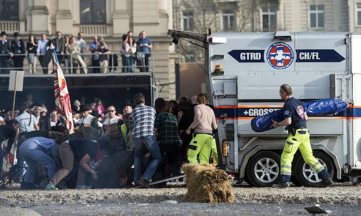 zunft-zuerich-pferd-verletzt.jpg