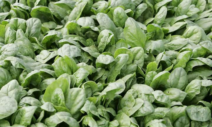 Rang 2: 
Schlanke 15 kcal stecken in 0,2 Liter Spinatsaft. (Bild: Keystone)