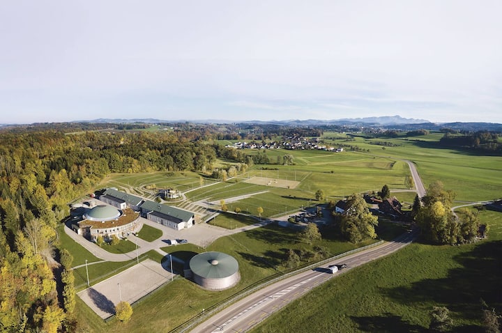 Buehlers Health Balance