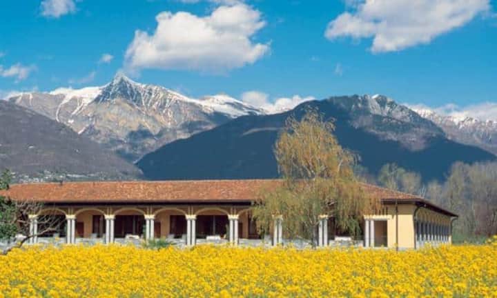 Rang 4: Castello del Sole, Ascona. Wer gespannt war, ob es das Castello del Sole wieder ganz nach oben schafft, wird enttäuscht: Das Tessiner Dolcefarniente-Paradies verlor drei Ränge von 1 auf 4. Das sichert ihm dennoch unseren Respekt und viele glückliche Gäste.