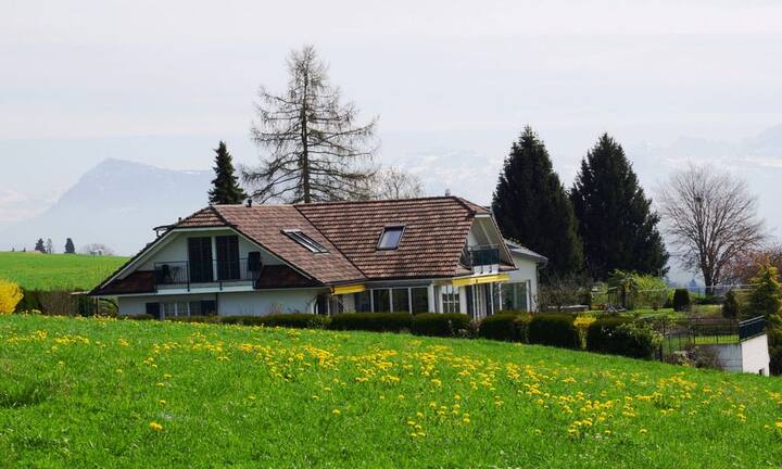 Das Anwesen liegt am Ende einer Privatstrasse. Die Gegend in der Seegemeinde Eich mit rund 1'700 Einwohnern ist ruhig und ländlich geprägt.