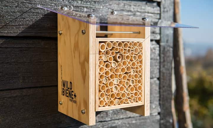 BienenhotelWildbienen bilden im Gegensatz zu Honigbienen keine grossen Völker. Ihr Nutzen liegt in der Bestäubung von Pflanzen. Das Wildbienen-Häuschen BeeHome kann überall bedenkenlos angebracht werden, denn die Insekten stechen nicht und interessieren sich nicht fürs Essen der Menschen.Aussteller: Wildbiene + Partner