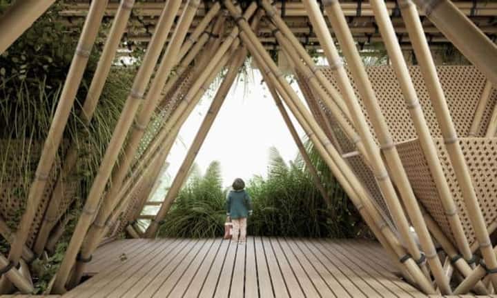 «Rising Canes» von Penda will nichts weniger als die Zukunft des Wohnens und Arbeitens revolutionieren. Dies soll dank einer umweltschonenden Bambusbauweise geschehen.