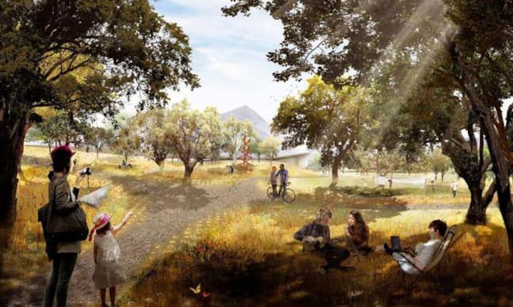 Arbeiten soll man bei Google auch im riesigen Park, der eine Illusion von Natur suggeriert. Google