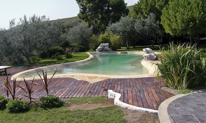 Im Gegensatz zu herkömmlichen Pools, deren Kastenform einen Aushub zur Folge hat, lassen sich Biodesign-Pools in freier Form gestalten und können auf Dachterrassen ebenso realisiert werden wie in Felswänden.