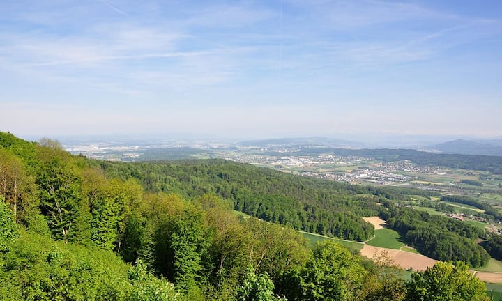 Glattal-Furttal liegt mit einem Beitrag in Höhe von 4,4 Prozent des gesamtschweizerischen BIP-Wachstum nur knapp hinter der Region Basel-Stadt.   Roland zh