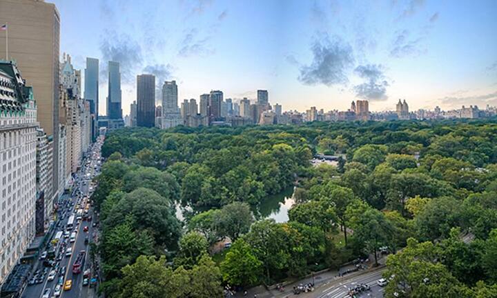 … wie er in den Verkaufsunterlagen schreibt. Fünf Zimmer und eine riesige Terrasse erlauben den direkten Blick auf den Central Park, …