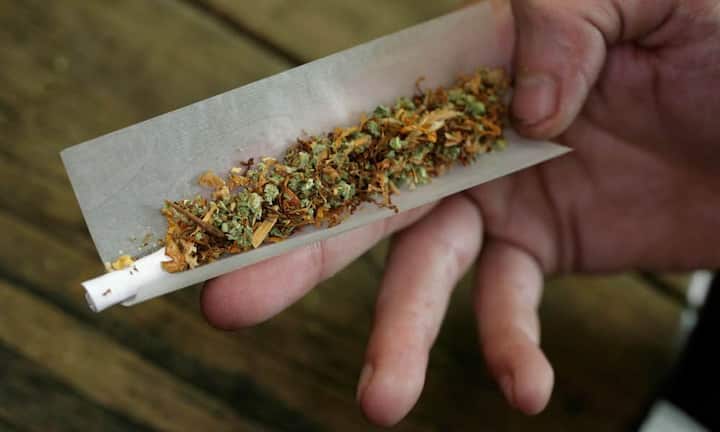 Cannabis wird nach Angaben von Pharmakologen häufig genutzt, um Arbeits-erlebnisse zu verarbeiten. Wahrnehmung und Motorik nehmen auf Dauer Schaden.