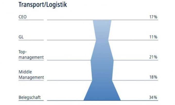 In der Transport- und Logistikbranche arbeiten überdurchschnittlich viele Frauen in der Führungsetage. Von den sechs Unternehmen, die an der Umfrage teilnahmen, hat eines einen weiblichen CEO: Susanne Ruoff bei der Schweizerischen Post. Die Daten weisen eine untypische Verbreiterung nach oben hin auf.