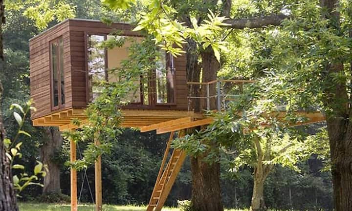 Dieses Baumhaus wurde in einem alten Kastanienbaum in der nähe von Rom realisiert. Über eine Treppe gelangt der Baumhausbesucher auf die Terrasse und von dort in den großzügigen Innenraum des Baumhauses.Nico Marzial
